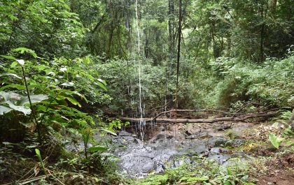 As melhores trilhas de Moto Trail em Xaxim, Santa Catarina (Brasil)